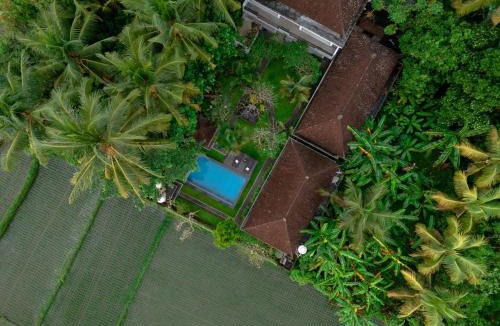 Singakerta Cabin | Ayu Shanti Guest House Ubud