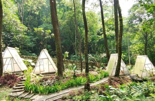 Tretes Hotel | The Nest Park