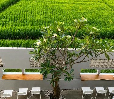 Kediri House | Padi Breeze Guesthouse Pererenan Bali