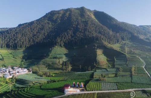 Dieng Kulon Cabin | Dieng Ceria Resort