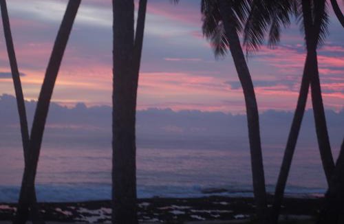 Simeulue Cabin | Dico Surf Point- Surf Lodge in Simeulue