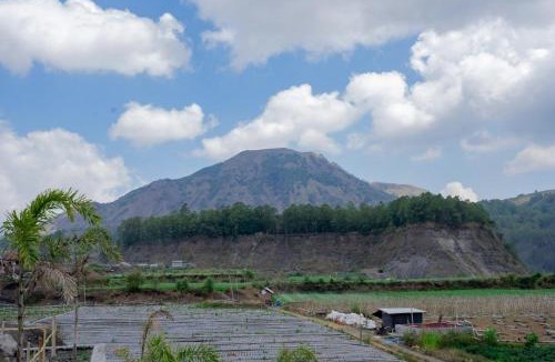 Songan Hotel | Batur Kencana Villa Mitra RedDoorz