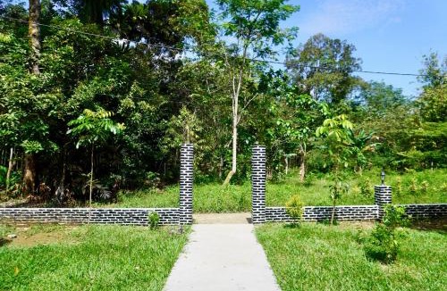 Bohorok Hotel | Ecotourism Bukit Lawang Bungalow