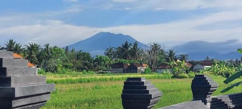 Medahan Villa | Bali Clara Villa & Spa, Restaurant, Transport - Guide