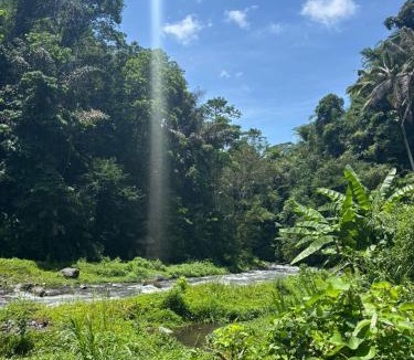 Tembuku House | Green Pacing Lodge