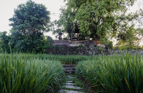Petulu Bed & Breakfast | Uma Raos Cottage