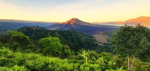 Kintamani Hotel | Arkaluna Resort & Adventure