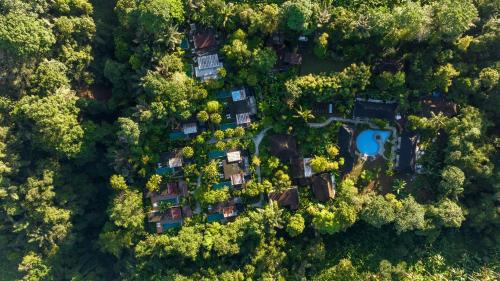 Payangan Resort | Senetan Villas and Spa Resort
