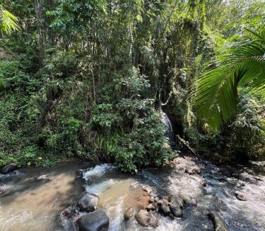 Kalipuro House | Osing Bamboo Resort