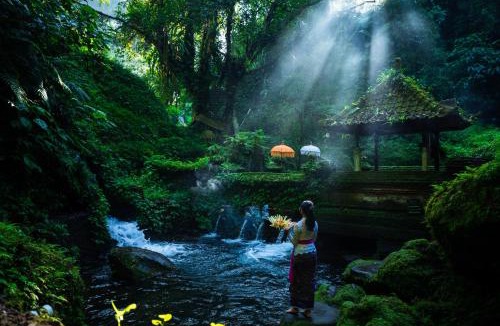 Payangan Resort | Anantara Ubud Bali Resort