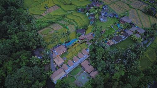 Sebatu Hotel | Lawani Resort