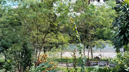 Bohorok Hotel | Wisma Batu Mandi and Jungle trekking