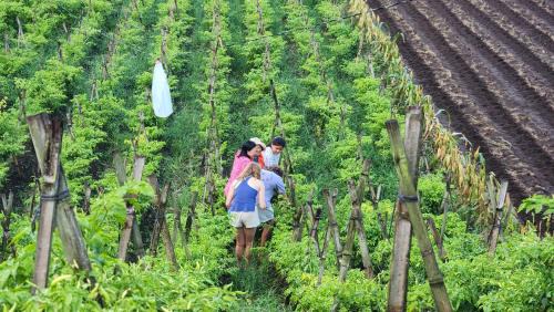 Tomohon Villa | Villa Lokon Tomohon