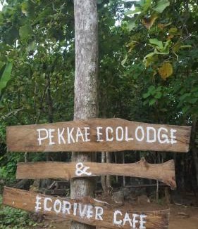 Cempae Resort | Pekkae ecolodge and cafe