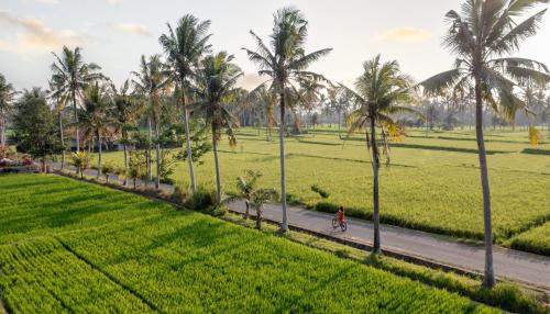 Kemenuh Resort | thewakanda Resort A Pramana Experience