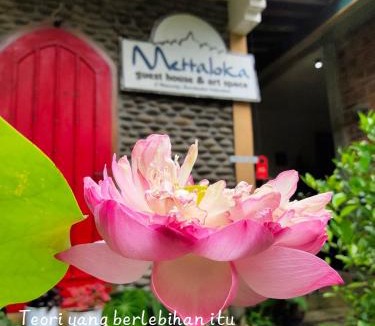 Mendut Hotel | Mettaloka Guesthouse