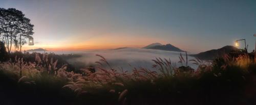 Songan Other | jungle camping