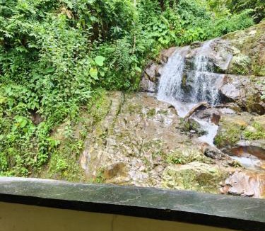 Bukit Lawang Hotel | Jungle Inn Bukit lawang
