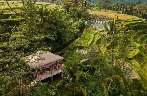 Penebel Other | Nadi Nature Resort - Adults Only