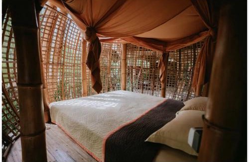 Peliatan Hotel | Firefly Eco Lodge