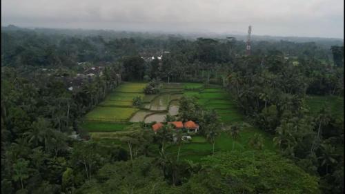 Petak Villa | Uma Mupu