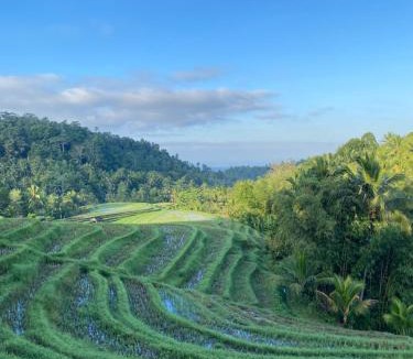 East Selemadeg Resort | Clove Tree Hill