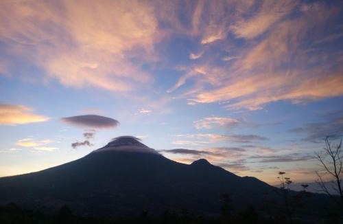 Wonosobo Apartment | RR Homestay seroja
