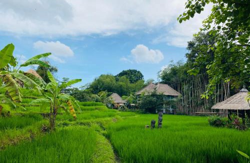Padonan Resort | KTS Balinese Villas