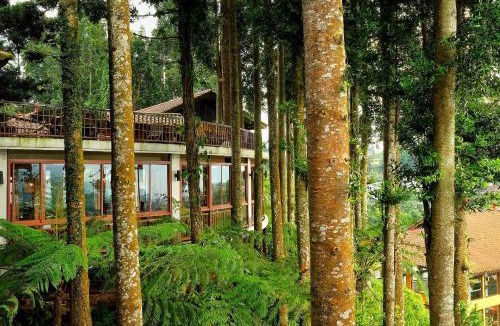 Ciloto Hotel | The Grand Hill Resort-Hotel