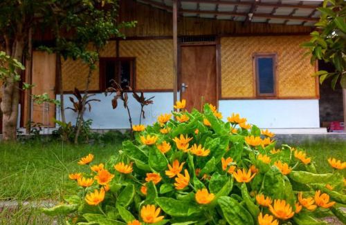 Kecamatan Pringgasela House | Pondok Wahyu