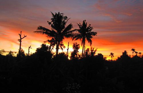 Ubud City-Centre House | Nyoman Murjana Homestay