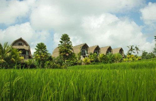Undisan Resort | De Klumpu Bali Eco Tradi Stay