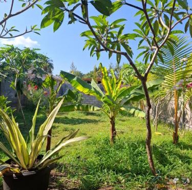 Suka House Lombok in Tanjung