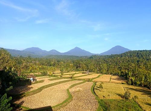 Bali Harmoni Munduk in Gobleg