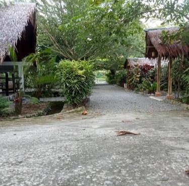 Magpie homestay & jungle trekking especially for guest trekking with us in Bukit Lawang