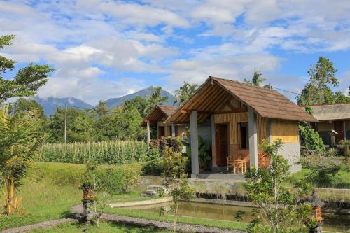 Bee Camp Bedugul by AGATA in Bedugul