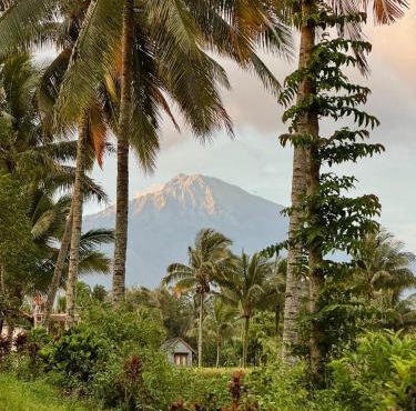 Bintang Homestay in Tetebatu