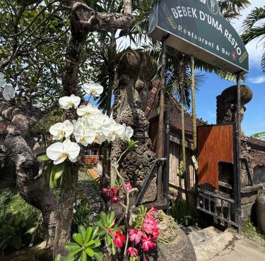 Balian Retreat Centre Homestay
