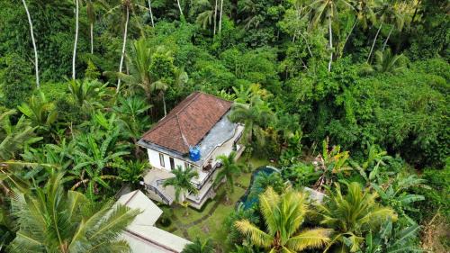 Junjungan Guest House New Brand