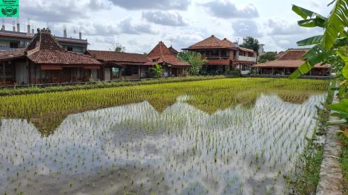 Alamanda Villas, Family Villas, Pool & Local Tours in Yogyakarta
