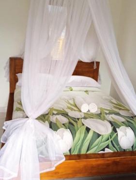 Meme Royak Homestay in Munduk